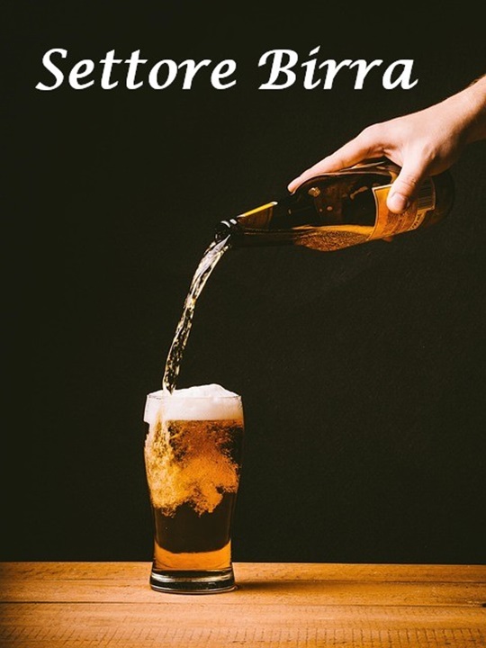 Settore birra: tutto quello che devi sapere prima di investire